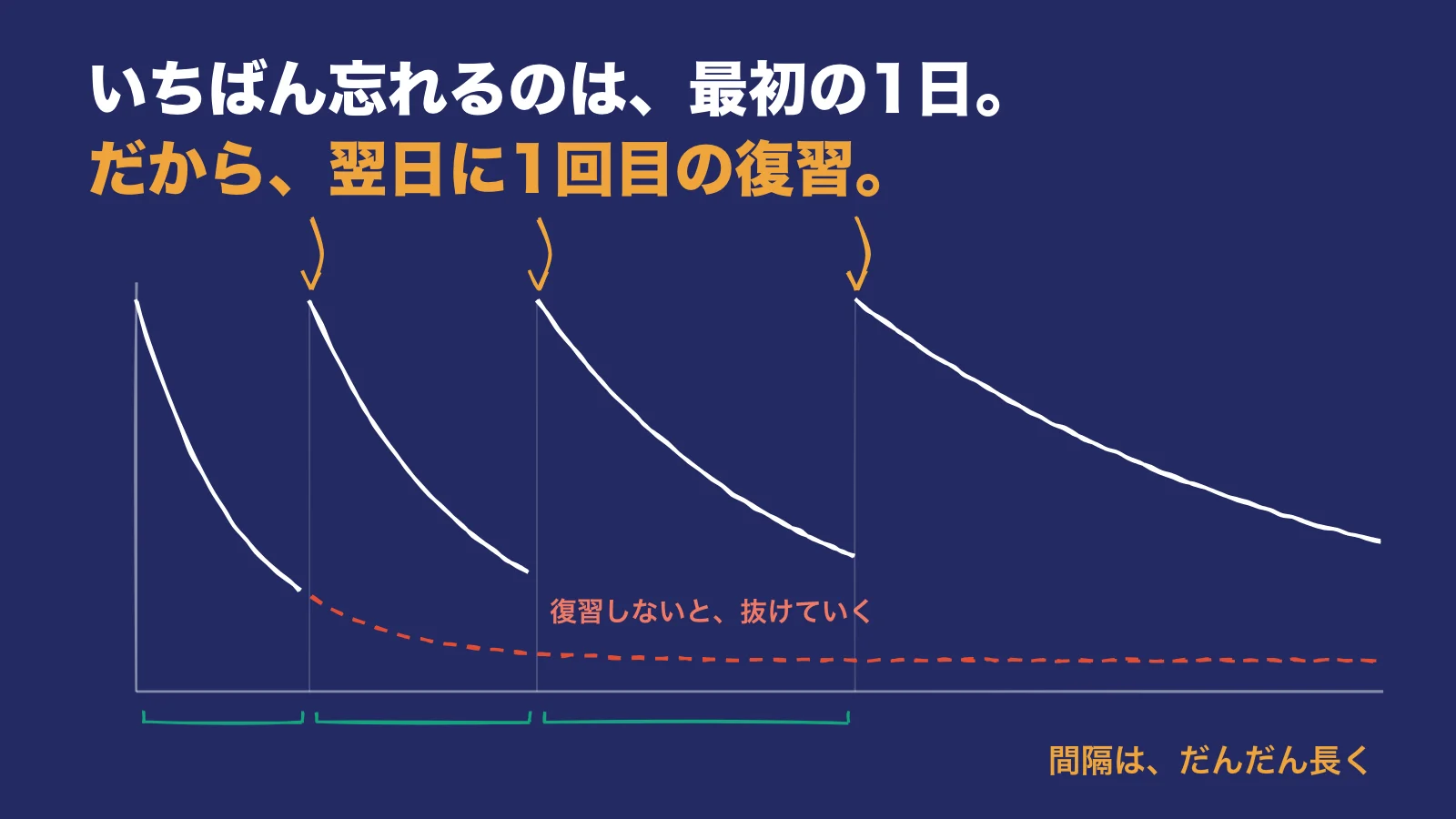 忘却曲線の手描きイラスト:復習のたびに記憶が戻り、復習の間隔がだんだん長くなる様子と、復習しない場合に抜けていく点線。見出しは「いちばん忘れるのは、最初の1日。だから、翌日に1回目の復習。」