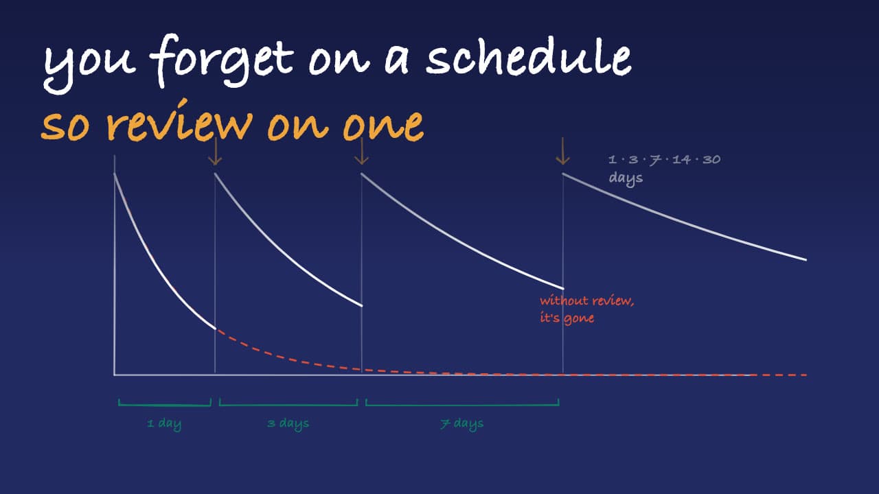 A retention curve that resets at each review while a dashed no-review curve fades to nothing