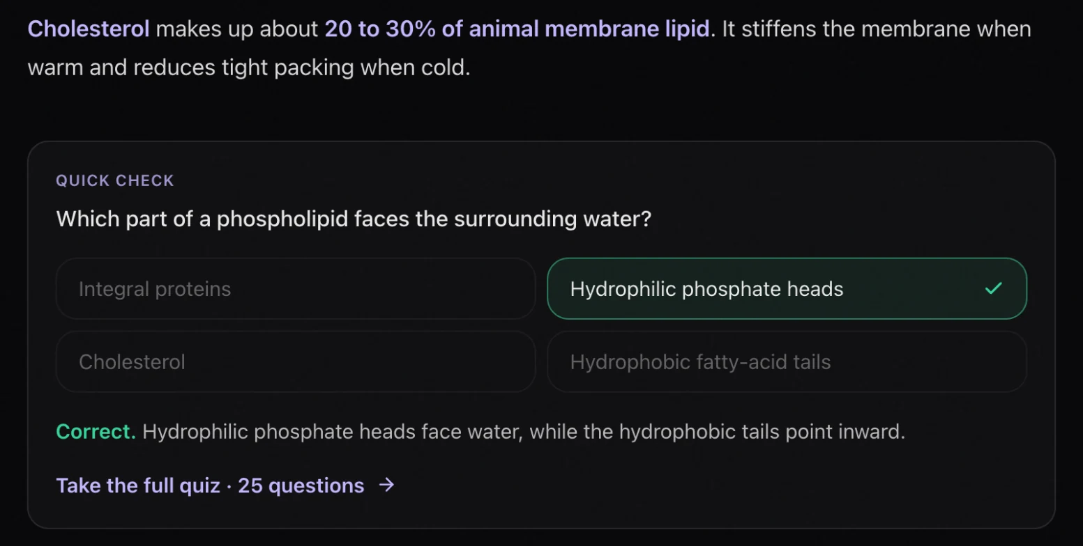 Laxu AI Quick check inside a study guide: which part of a phospholipid faces the surrounding water, answered correctly