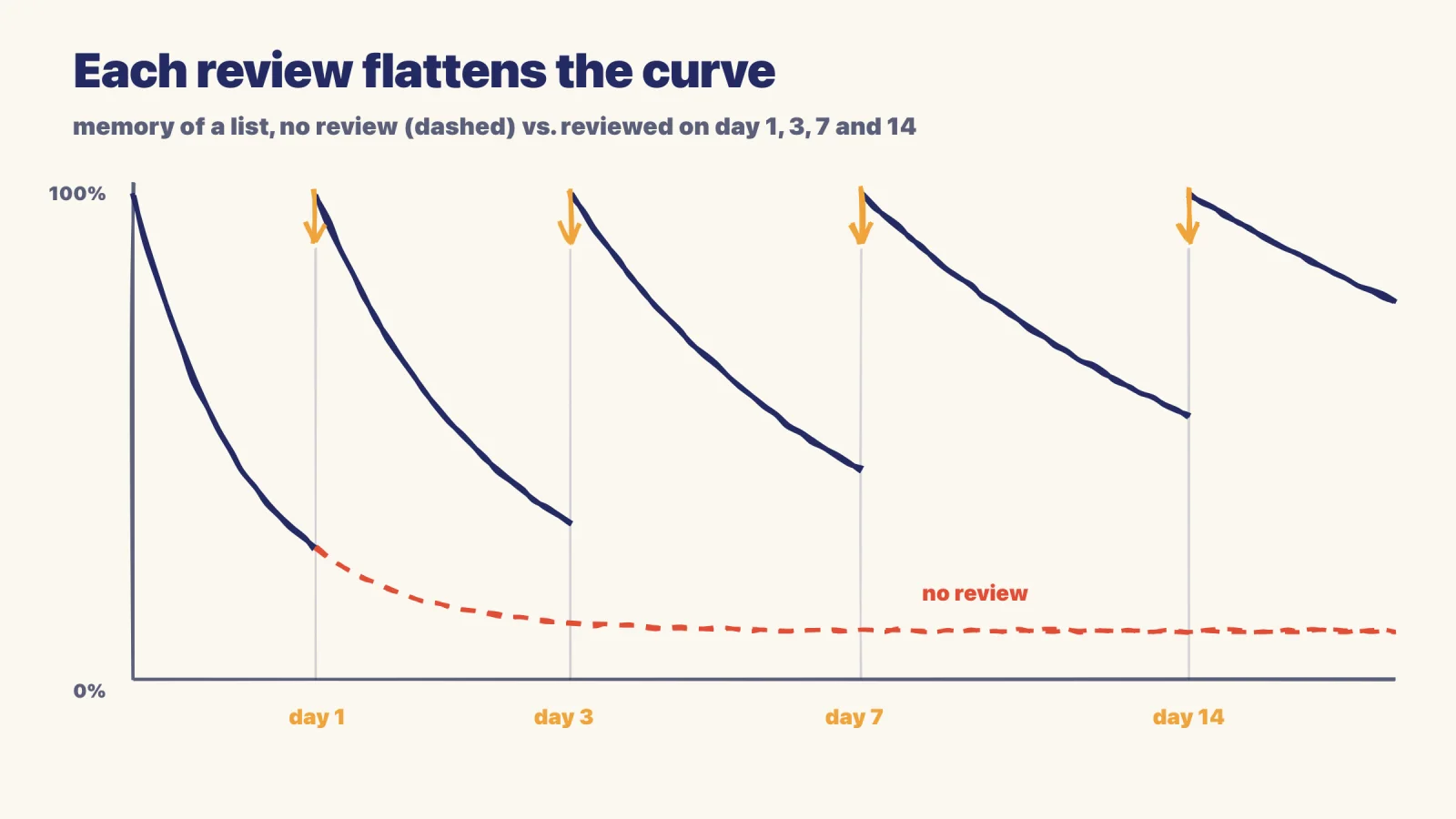 A hand-drawn chart of memory over time: a dashed red line falls steeply with no review, while a dark line restarts near the top at each review on day 1, 3, 7 and 14 and falls more slowly each time